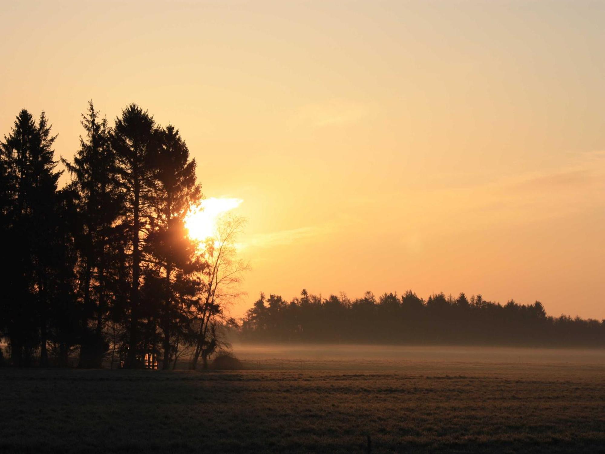 Herzfeldhof Worpswede Zewnętrze zdjęcie